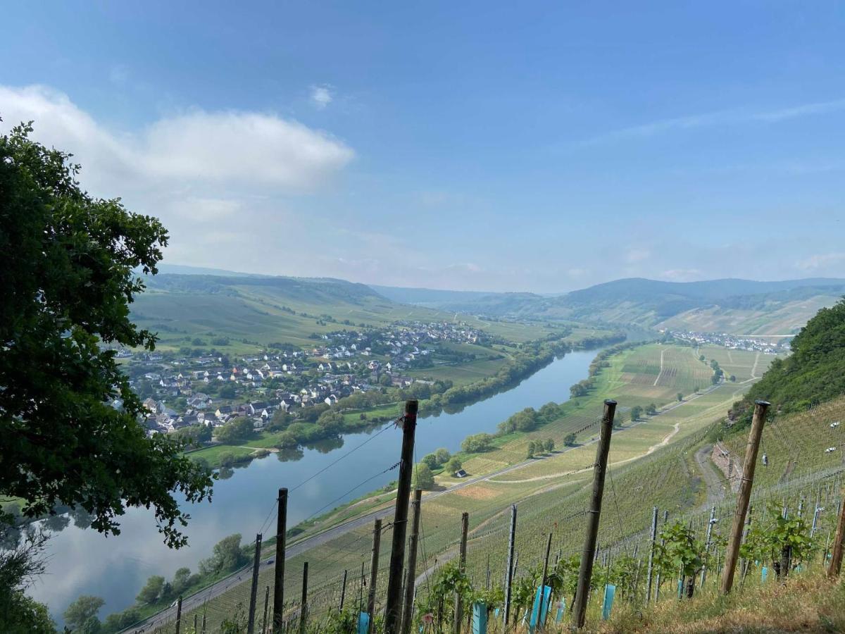 Neu!!! Moselbleibe Winzerhaus Kues Apartment Bernkastel-Kues Exterior photo